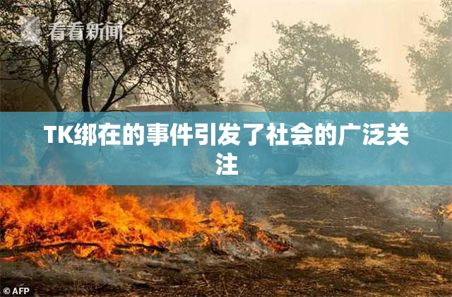 TK绑在的事件引发了社会的广泛关注