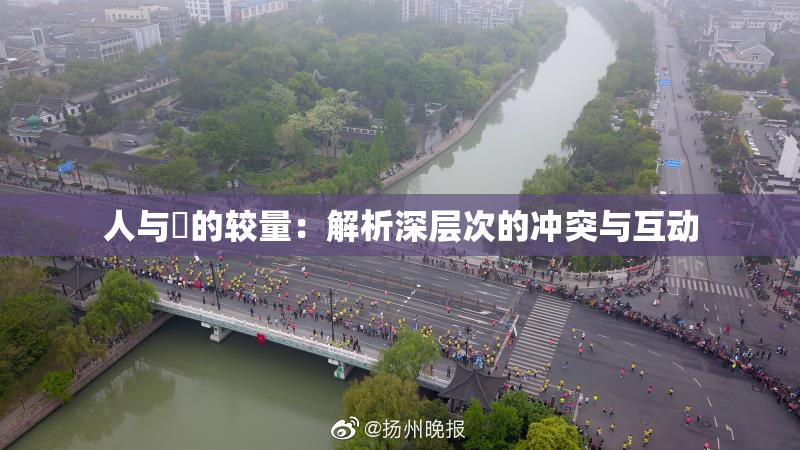 人与嘼的较量：解析深层次的冲突与互动