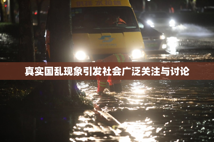 真实国乱现象引发社会广泛关注与讨论