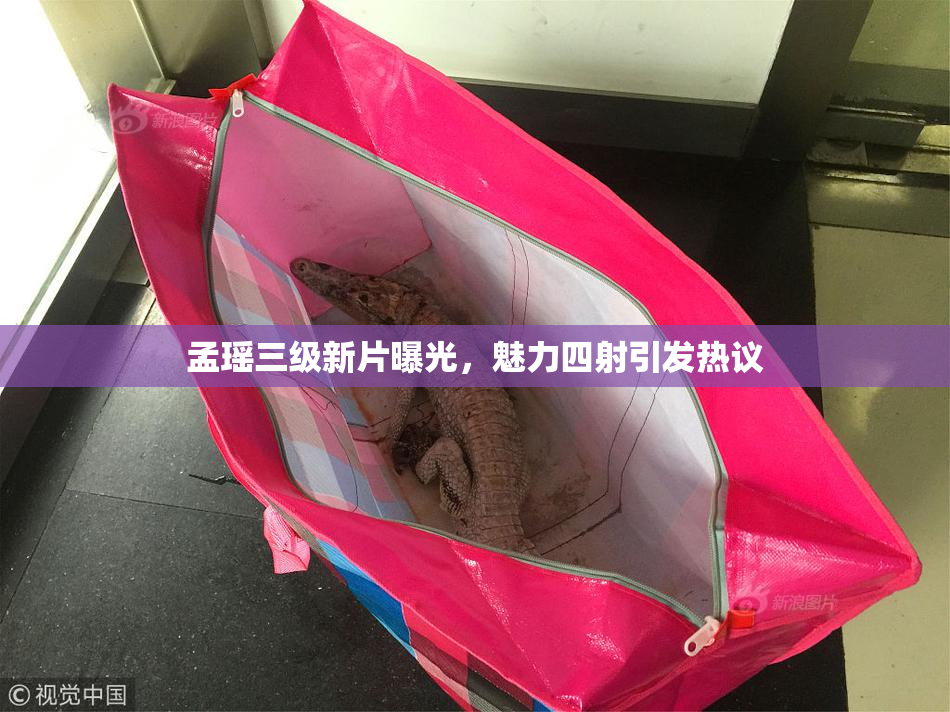 孟瑶三级新片曝光，魅力四射引发热议