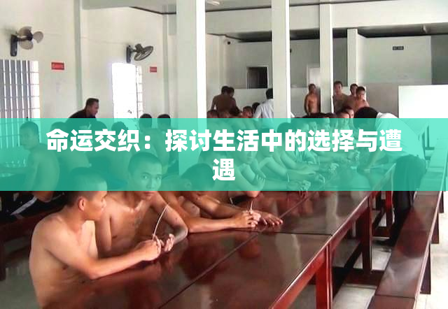 命运交织：探讨生活中的选择与遭遇
