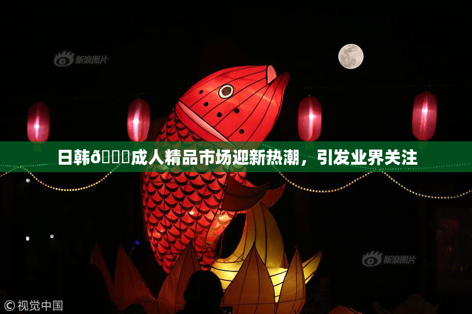 日韩🔞成人精品市场迎新热潮，引发业界关注
