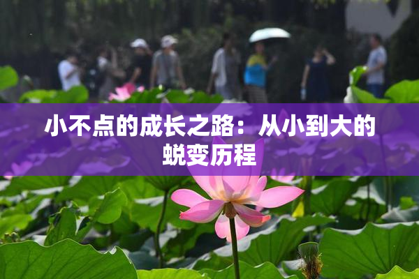 小不点的成长之路：从小到大的蜕变历程