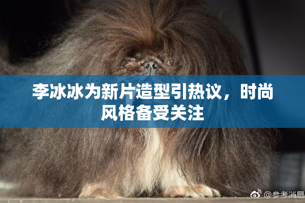 李冰冰为新片造型引热议，时尚风格备受关注