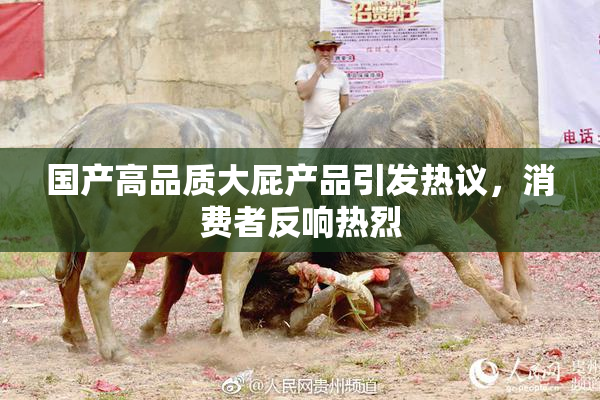 国产高品质大屁产品引发热议，消费者反响热烈
