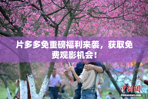 片多多免重磅福利来袭，获取免费观影机会！