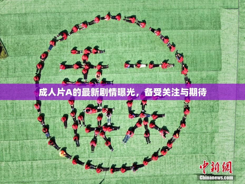 成人片A的最新剧情曝光，备受关注与期待
