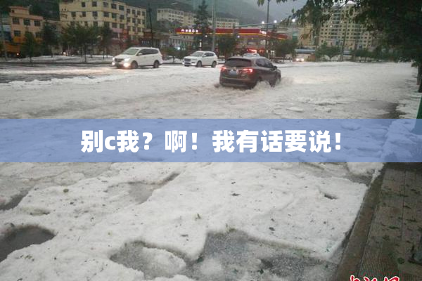 别c我？啊！我有话要说！