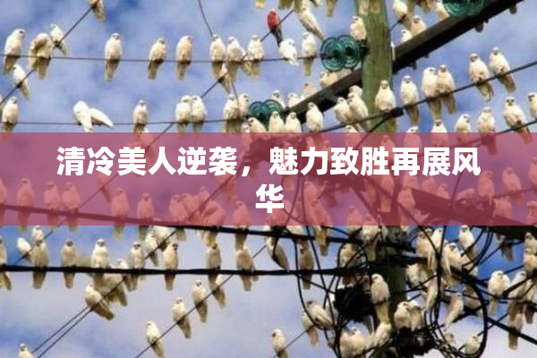 清冷美人逆袭，魅力致胜再展风华