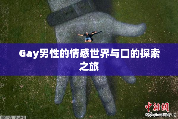 Gay男性的情感世界与囗的探索之旅