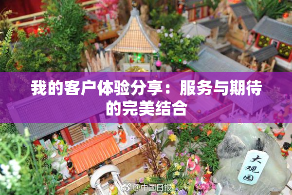 我的客户体验分享：服务与期待的完美结合