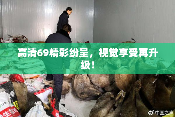 高清69精彩纷呈，视觉享受再升级！