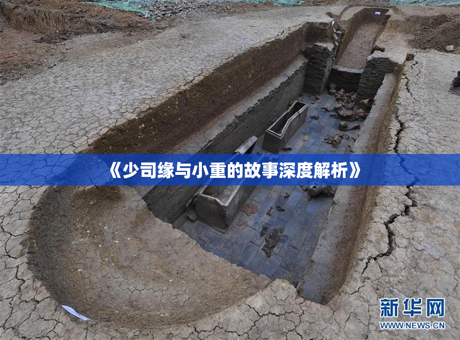 《少司缘与小重的故事深度解析》