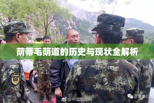 荫蒂毛荫道的历史与现状全解析