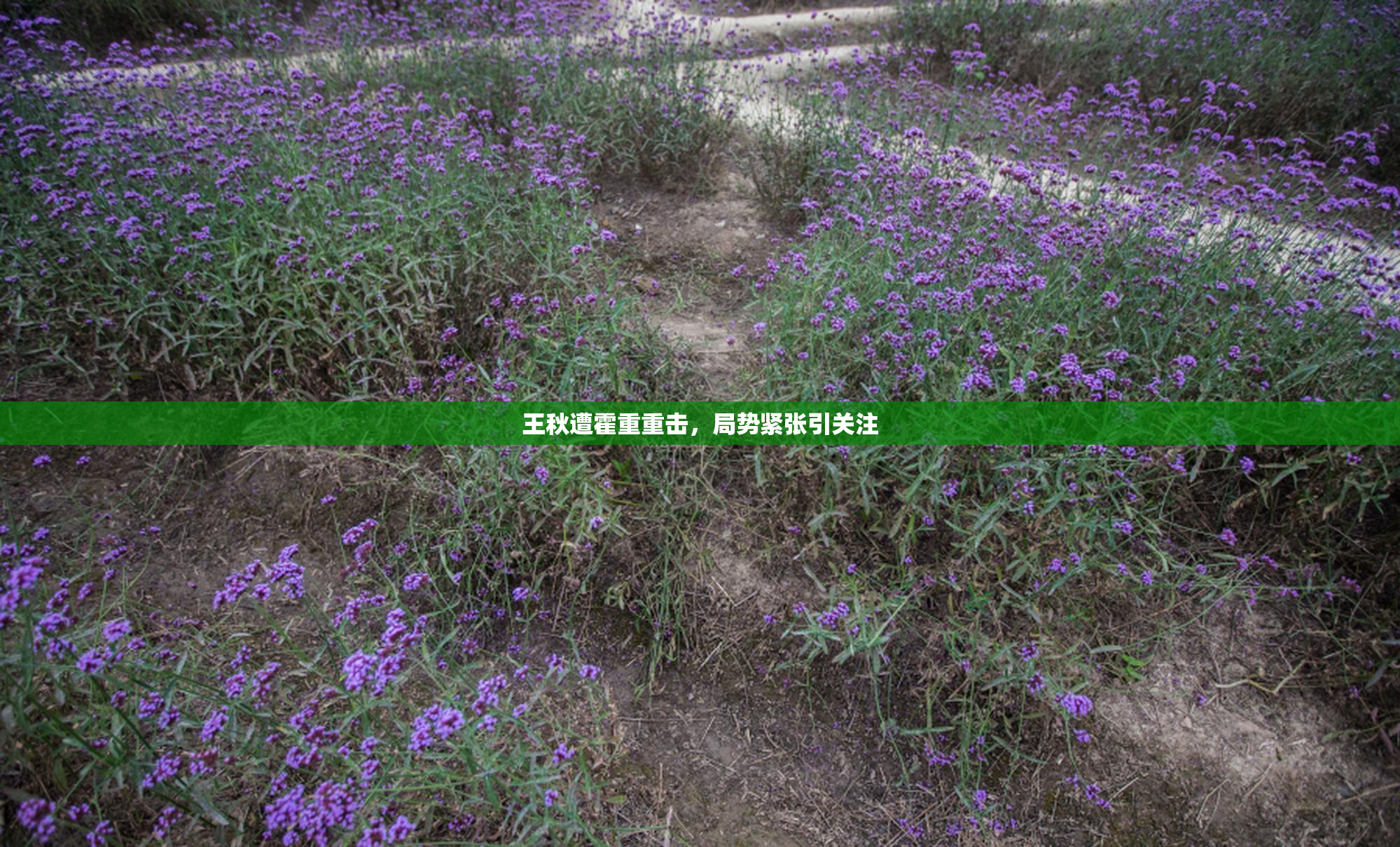 王秋遭霍重重击，局势紧张引关注