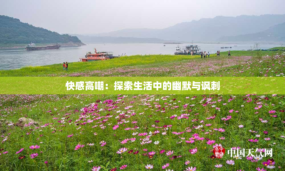 快感高嘲：探索生活中的幽默与讽刺