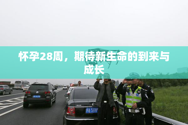 怀孕28周，期待新生命的到来与成长