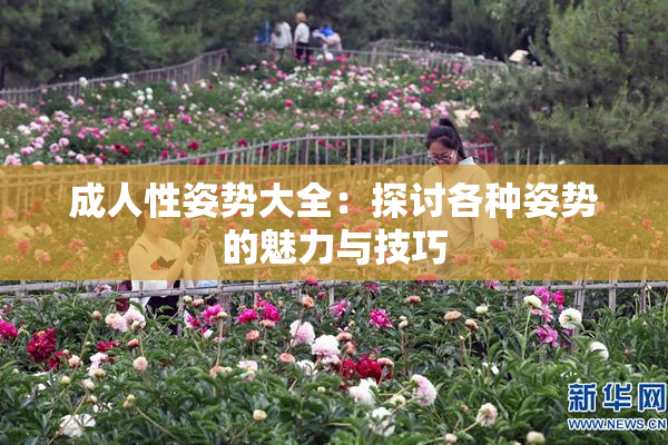 成人性姿势大全：探讨各种姿势的魅力与技巧