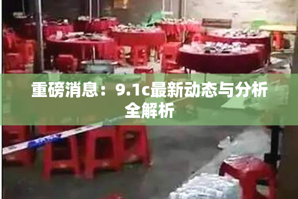 重磅消息：9.1c最新动态与分析全解析
