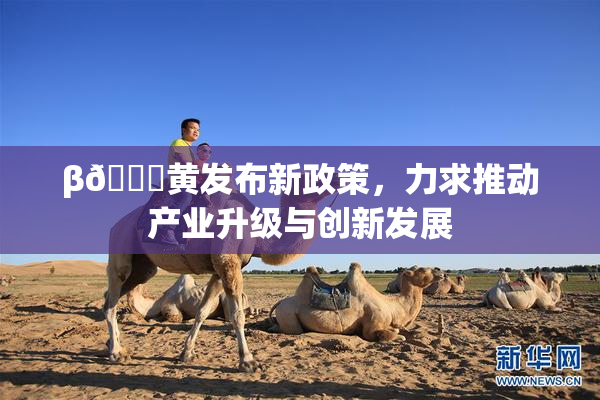 β🔞黄发布新政策，力求推动产业升级与创新发展