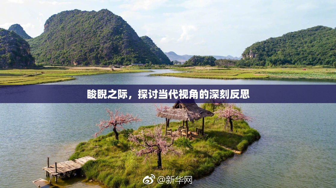 睃睨之际，探讨当代视角的深刻反思