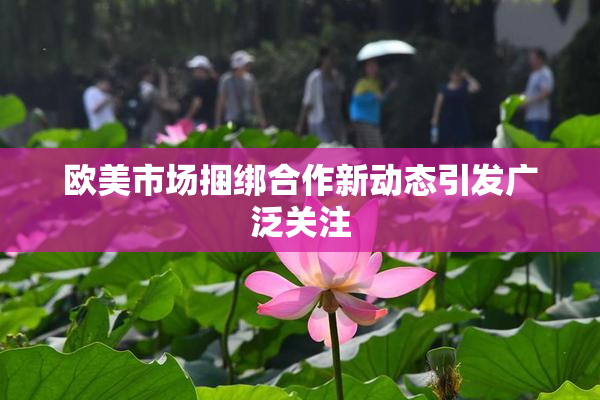 欧美市场捆绑合作新动态引发广泛关注