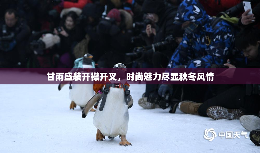 甘雨盛装开襟开叉，时尚魅力尽显秋冬风情