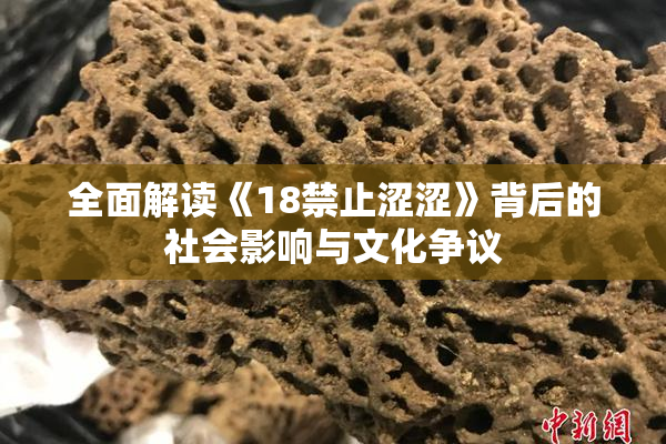 全面解读《18禁止涩涩》背后的社会影响与文化争议