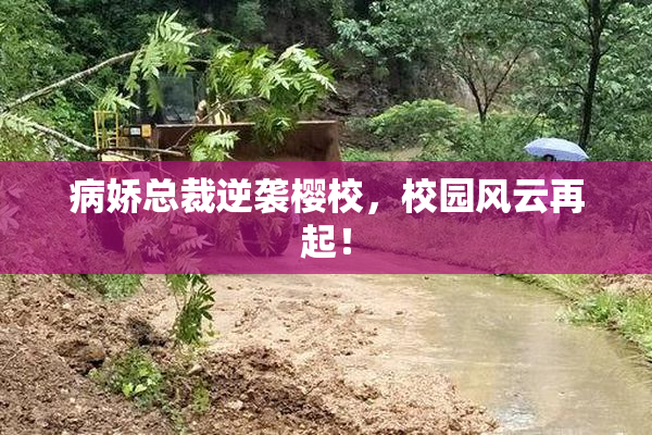 病娇总裁逆袭樱校，校园风云再起！