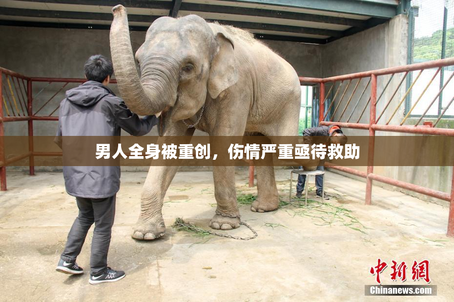 男人全身被重创，伤情严重亟待救助