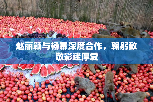赵丽颖与杨幂深度合作，鞠躬致敬影迷厚爱