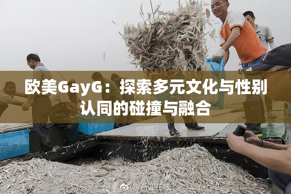 欧美GayG：探索多元文化与性别认同的碰撞与融合
