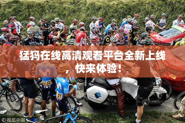 猛犸在线高清观看平台全新上线，快来体验！