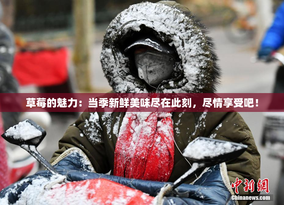草莓的魅力：当季新鲜美味尽在此刻，尽情享受吧！