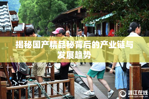 揭秘国产精品秘背后的产业链与发展趋势