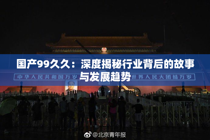 国产99久久：深度揭秘行业背后的故事与发展趋势