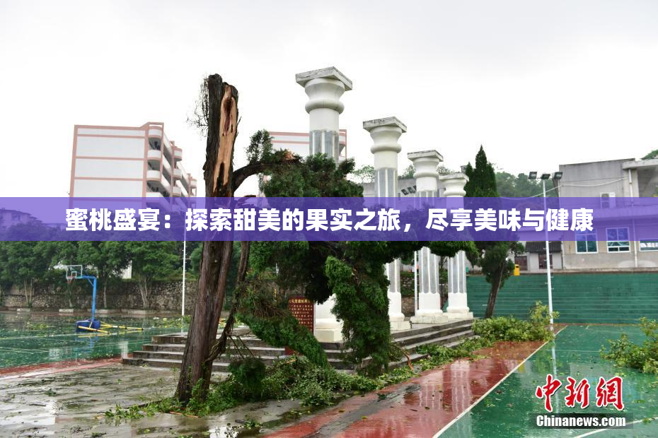 蜜桃盛宴：探索甜美的果实之旅，尽享美味与健康