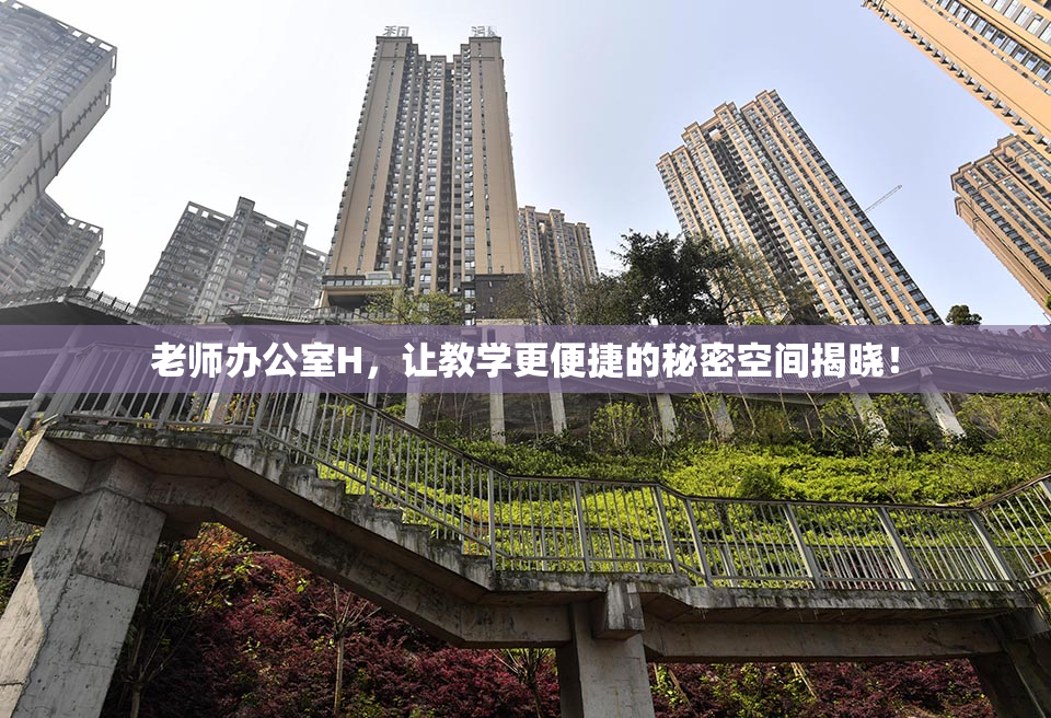 老师办公室H，让教学更便捷的秘密空间揭晓！