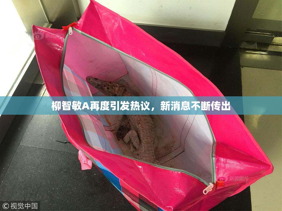 柳智敏A再度引发热议，新消息不断传出