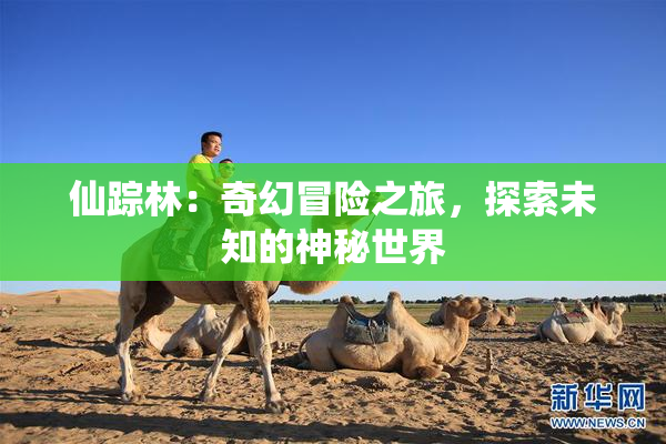 仙踪林：奇幻冒险之旅，探索未知的神秘世界