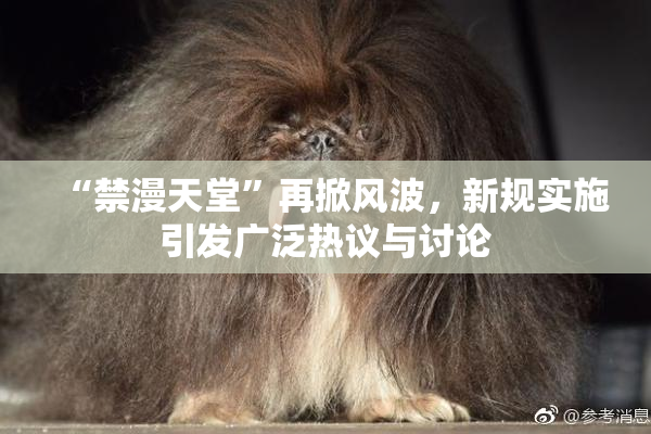 “禁漫天堂”再掀风波，新规实施引发广泛热议与讨论