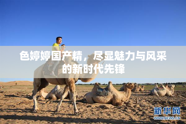 色婷婷国产精，尽显魅力与风采的新时代先锋