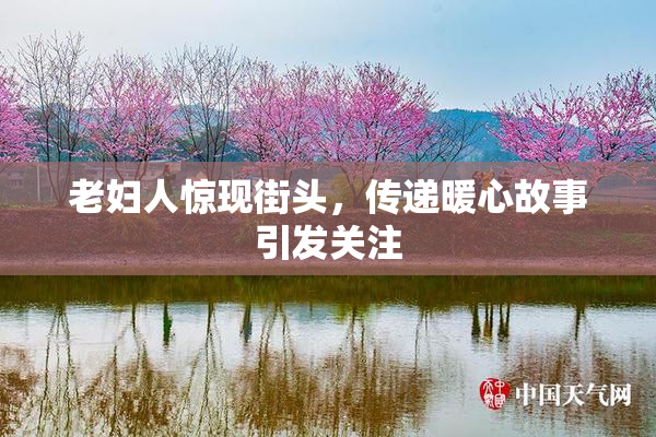 老妇人惊现街头，传递暖心故事引发关注