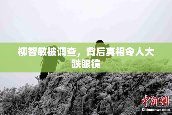 柳智敏被调查，背后真相令人大跌眼镜