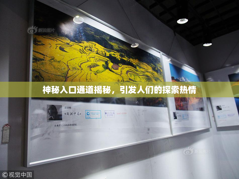 神秘入口通道揭秘，引发人们的探索热情