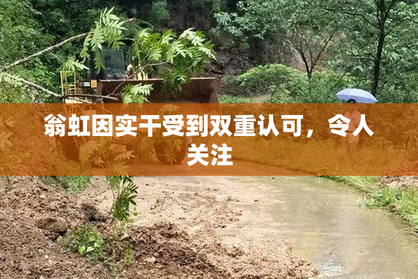 翁虹因实干受到双重认可，令人关注