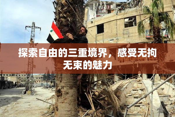 探索自由的三重境界，感受无拘无束的魅力