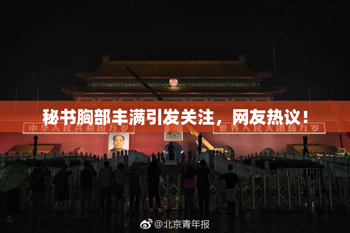 秘书胸部丰满引发关注，网友热议！