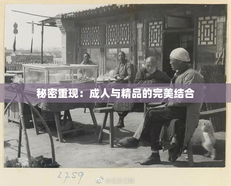 秘密重现：成人与精品的完美结合