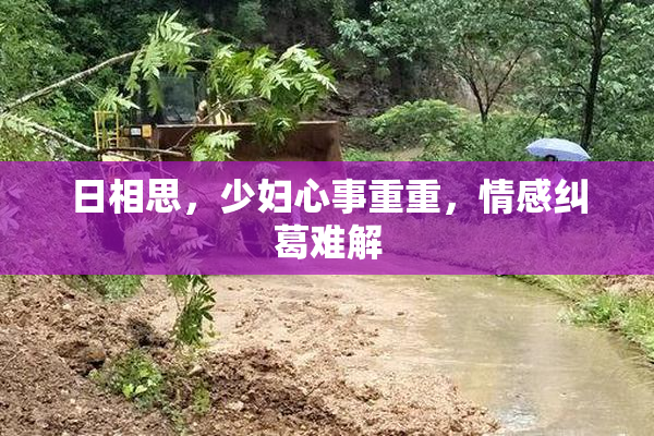 日相思，少妇心事重重，情感纠葛难解